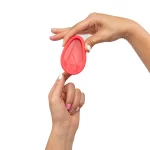 Disco-Menstrual-UVA