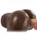 Torso Naysa Café