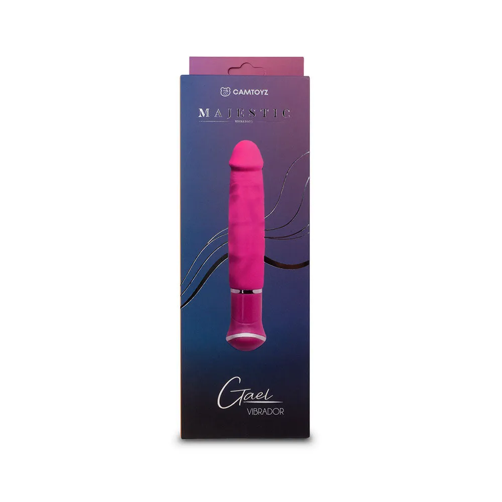 Vibrador-Gael-Camtoyz