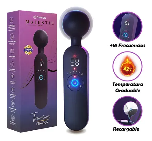 Vibrador Hitachi Tamina